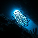 万座って、素敵やん☆