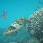 前線通過でちょい悪天気　でももちろんボートで攻めてまいります！！