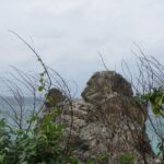 突然も悪海況・・・・がしかし！！　　　ゴリチョは今日も青かった。
