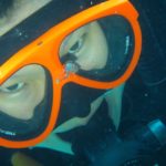 水納島と瀬底島でくじら系のラビリンス