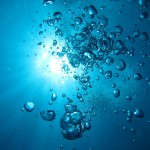 大荒れの天気予報から一転☆　　　ダイブナッツブログ