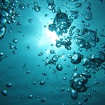 水温が下がってきたー！　　　ダイブマスター講習　　　ダイブナッツブログ