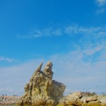 ダイブマスター講習初日！　　　ダイブナッツブログ