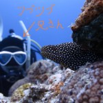 Ｄの意思を継ぐ者　　　ダイブナッツブログ