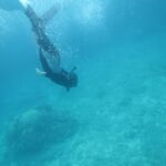 男は黙ってスキンダイビング！！　　　ダイブナッツブログ