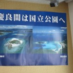 ５月２３日～　阿嘉島ダイビングツアー　ツアー報告☆　　　　ダイブナッツブログ