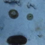 ナイス天気の下、アドバンス講習の巻！　　ダイブナッツブログ
