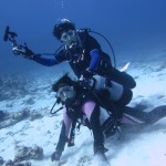 久し振りの水納島　ダイブナッツブログ