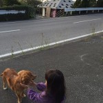 めでたい日にめでたい晴れ空☆　　　ダイブナッツブログ