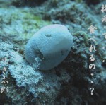 今のうちに降っておいて・・・