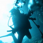 予想外の海況に万座ダイビングを堪能できた１日☆　　　ダイブナッツブログ