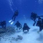 16日はみんなで水納! ダイブナッツブログ