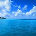 台風にも負けず！瀬底島＆レスキュー講習！！　　　ダイブナッツブログ