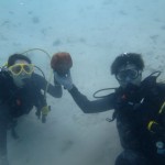 お世話になります！亀の浜☆　　　ダイブナッツブログ