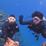 念願のラビリンス☆　　ダイブナッツブログ
