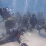 ボンバる１日　　　　ダイブナッツブログ