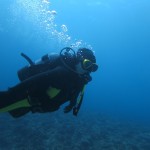 仙さんと本部の海を開拓するの巻　　　ダイブナッツブログ