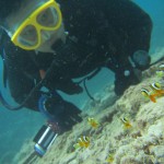 午後からダイビング☆本部の海をこよなく愛するあのお方☆　　　ダイブナッツブログ