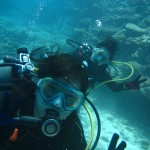 本日、水納島・瀬底島をＦＵＮダイビング＆体験ダイビング＆シュノーケルで楽しんできました☆　　ダイブナッツブログ
