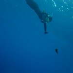 瀬底島でまったりシュノーケル☆ ダイブナッツブログ
