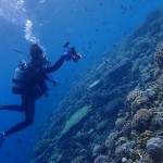 インスタグラマーアツシ兄さんとマクロダイブ☆　　ダイブナッツブログ