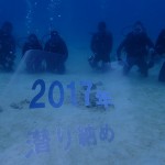 2017年！潜り納めダイビング☆　　　ダイブナッツブログ