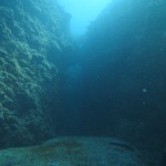 地形派ダイバー参上　　　ダイブナッツブログ