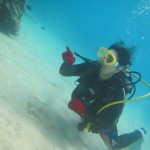 水温も快適になってまいりました！　　　ダイブナッツブログ