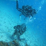 水納島☆伊江島へ！　　　ダイブナッツブログ