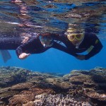 水納島が復活したってよ~！　　ダイブナッツブログ