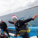 サンタさんからのプレゼント！？XmasEveダイブ　　　ダイブナッツブログ