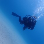 沖縄にも大寒波がやってきた!! ダイブナッツブログ