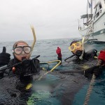 ナイス透明度!サンキュー水納島☆ ダイブナッツブログ