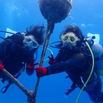 ハナヒゲウツボが気になりますか？じゃあ見に行きますか！　　　ダイブナッツブログ