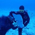 大うねりに乗っかって水納島へ　　　ダイブナッツブログ