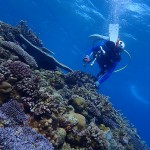 本日も良いお天気でございます。　　　ダイブナッツブログ