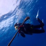 久しぶりの水納島☆　　ダイブナッツブログ