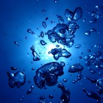 水納島も魚が増えてきました☆　　ダイブナッツブログ