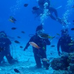 体験ダイブ＆FUNダイブで水納島を楽しんできまくりました！　　ダイブナッツブログ