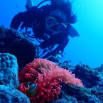 イタル兄さんと愉快な仲間達 ダイブナッツブログ