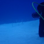 透明度が上がって来ました水納島☆　ダイブナッツブログ