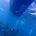 水納島や瀬底島のサンゴや魚群をまったり眺めるプライスレスなダイビング☆　　　ダイブナッツブログ