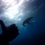 フォト講習IN水納島　　　ダイブナッツブログ