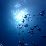 ちょっと無理気味にボート出港! ダイブナッツブログ