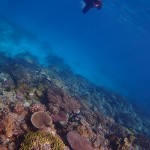 解説つけてみた。　　　ダイブナッツブログ
