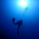 ナイス天気が一番！！　　ダイブナッツブログ