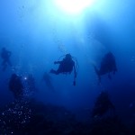 砂地と地系と漁礁を巡る☆　　ダイブナッツブログ