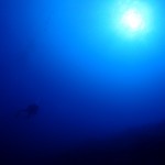 太陽の日差しと青い海☆　　ダイブナッツブログ