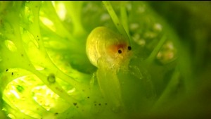 line_oa_chat_260128_151759