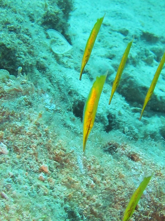 7.5.6